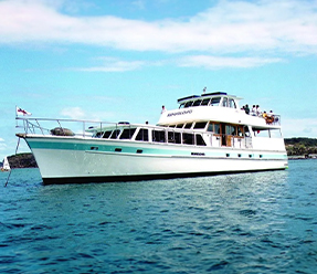 MV Bennelong cruises on the waters of Sydney Harbour.