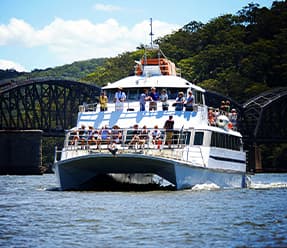Cruise on the Riverboat for 360° views of the harbour and the city skyline